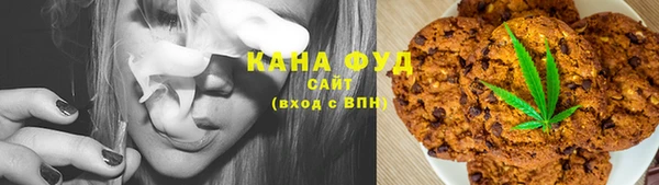 хмурый Арсеньев