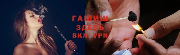 хмурый Арсеньев